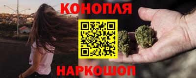 мдпв Партизанск