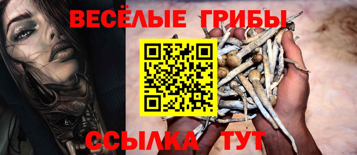 Галлюциногенные грибы ЛСД Анапа
