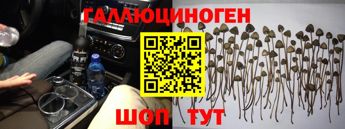 Псилоцибиновые грибы прущие грибы  Галлюциногенные грибы Psilocybe  Вход с VPN  даркнет сайт  Анапа 