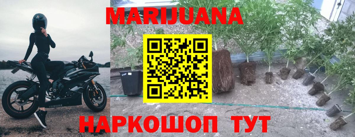 МАРИХУАНА тримм  МАРИХУАНА план  Вход с VPN  Анапа 